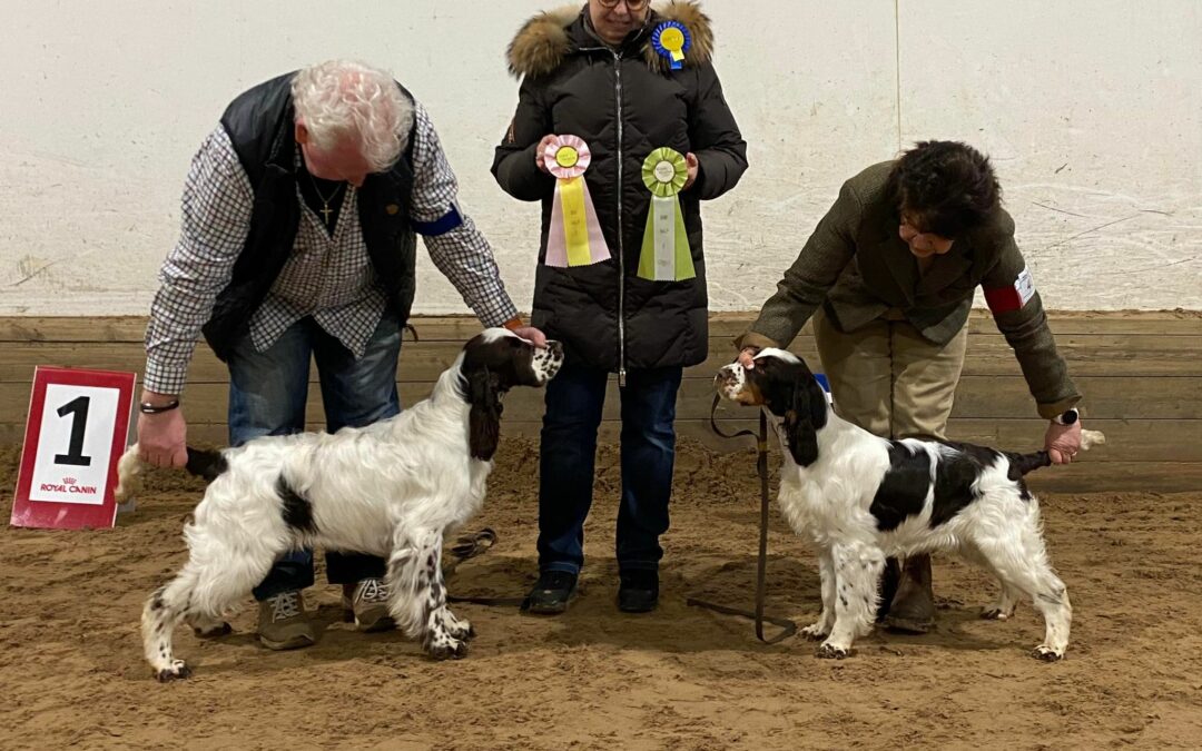 SSRK Kungsbacka och champion